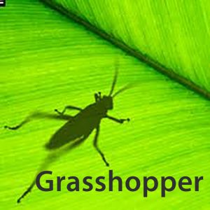 Programa para diseño 3D